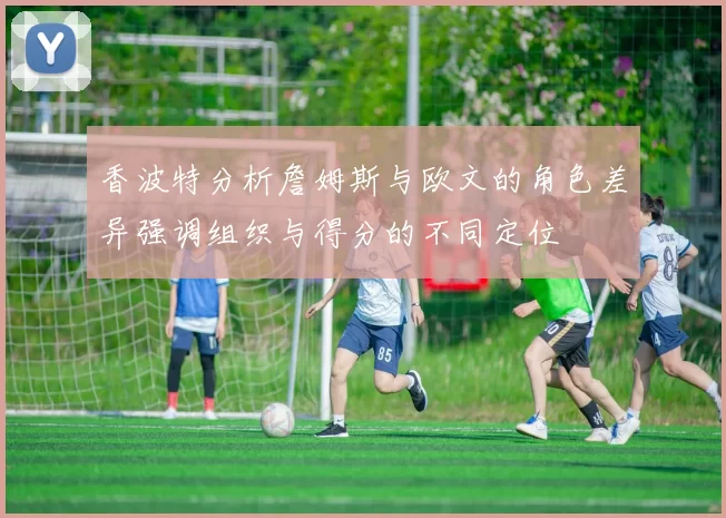 香波特分析詹姆斯与欧文的角色差异强调组织与得分的不同定位